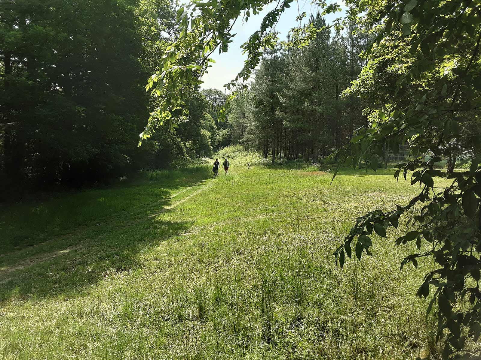 Parc nature à bligny